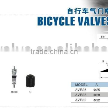 VAR-26 tire valve with accessories