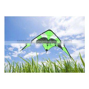 Dual Line Delta Stunt Kites - Curved Edge Kites