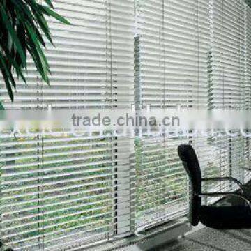 Roll Up Blind Windows for winter garden price