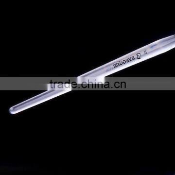 Art Supplies Custom Personalized Upscale Horse Hair Long Transparent Plastic Handle Brush Paint Acrylic Art Brush for Artist