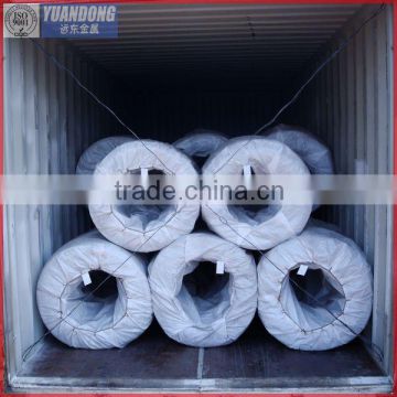 Electro galvanized wire(low price)