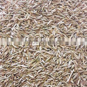 cumin seeds