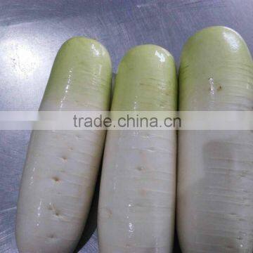 Fresh Radish to Canada From Chinese Factory photo-3