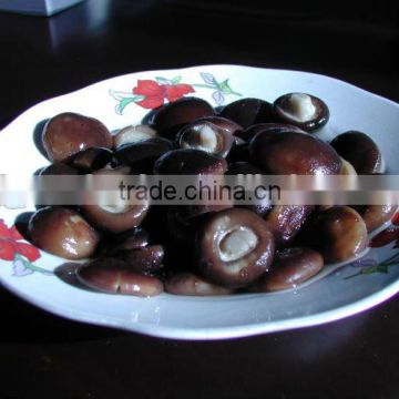 Hot sale Canned frozen shiitake mushroom whole