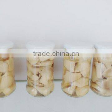 Best Canned Champignon Mushroom Whole & Slice Price