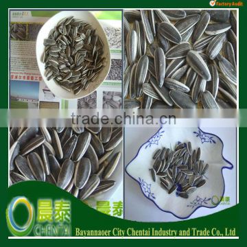 Sell The Biggest Export Sunflower Seeds 5009