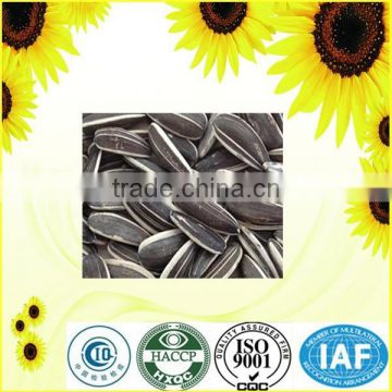 high quality seeds sunflower with free samples