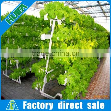 Greenhouse structure with Complete hydroponic growing system