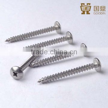 stainless steel pan head selftapping screws ss304 ss316