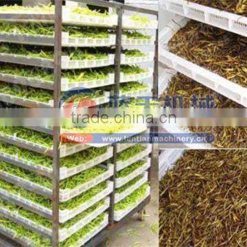 Induatrial Garlic Dehydrator Drying Machine photo-6