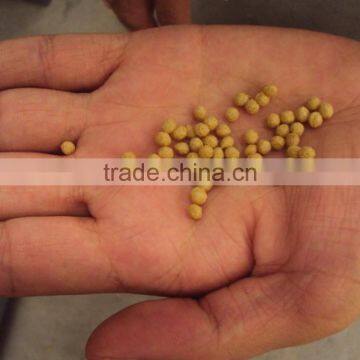 Floating Fish Feed Machine 1000kg/hour photo-2