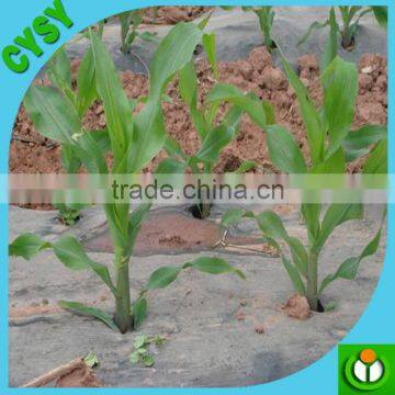 manufacture supply agriculture or garden degradable mulch film