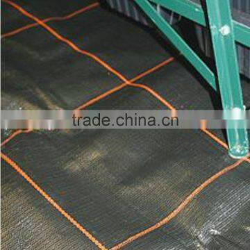 pp Non Woven Fabric Ground Cover photo-2