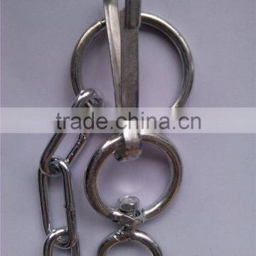 Kinds of High Quality Pet Chain photo-6