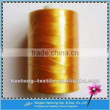 Ningbo 100% Polyester Embroidery Thread/ Hand Knitting Yarn