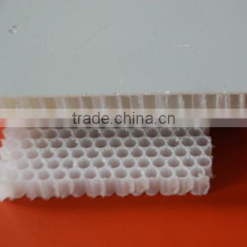 PP Comb Core Reinforced FRP Sandwich Panel