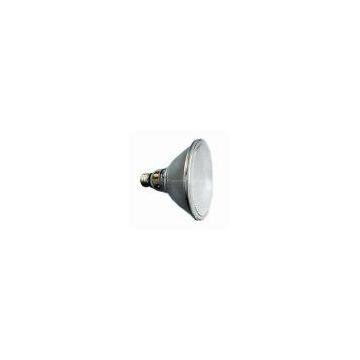 LED Dimmable Spotlight(PAR38-12W) photo-2