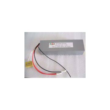 Lithium Iron Phosphate Batteries  LiFePO4 Batteries 12V-8Ah Charger