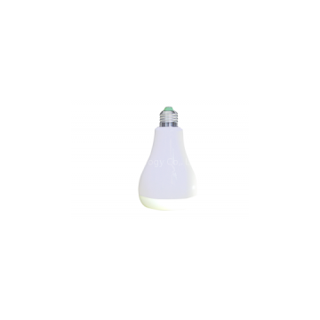 Remote Control Bluetooth Led Light