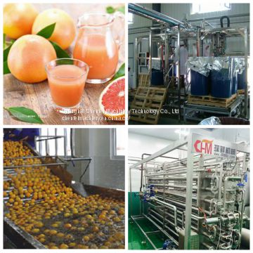 grapefruit juice processing line