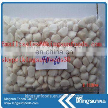 Frozen Scallop For American With Sea Scallop/bay Scallop