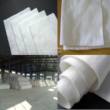 Non Woven PP/PET Geotextile photo-5