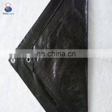 OEM Factory China PE Tarpaulin Sheets photo-6
