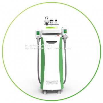 Coolsculpting Multifunctional Cryolipolysis Slimming Machine / Equipment ,RF,Vacuum Cavitation for whole body shape,skin tightening