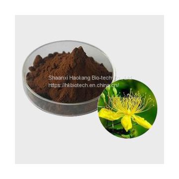 Hypericum Perforatum Extract Powder