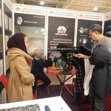 Seamed White Fish Scale MOP Fan Shape Shell Mosaic Tiles on Mesh MS1034 photo-3