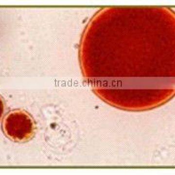 Natural Astaxanthin Oil (haematococcus pluvialis) 3%,5%,10%