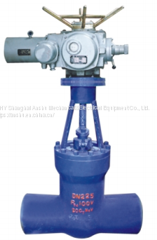 Slurry Valve