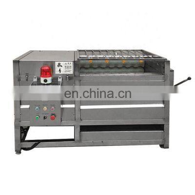 CE Bubble Washing Machine Line Onion Bubble Washing Machine French Fries Processing Equipment