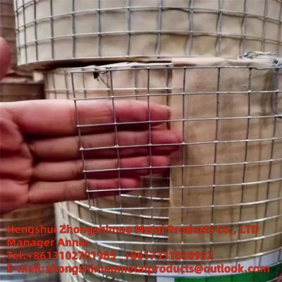 STAINLESS STEEL WELDED MESH/Welded wire mesh//wire netting