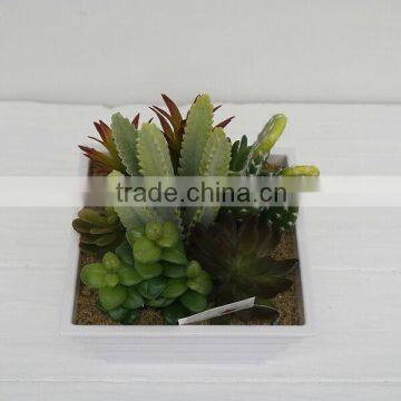 Decorative artificial plants artificial succulent/cactus arrangement wholesale from China