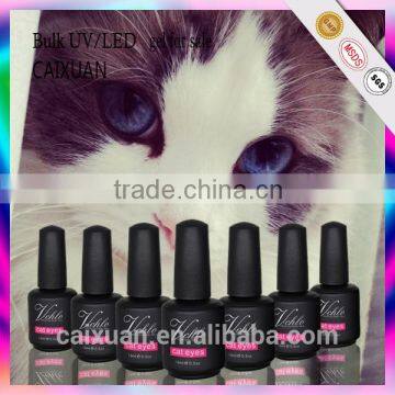 Gel for Nail Art Designs and Equipment for Sale for Christmas Cat Eye Color Gel Nail Polish photo-2
