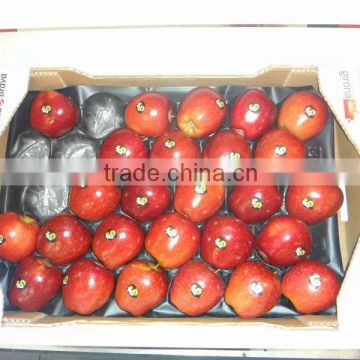 PP Fruit Trays Manufacturer