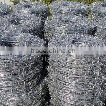 Hot dipped galvanized barbed wire