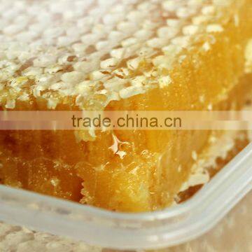 Condensed Juice Machine,Honey Dehydration Machine photo-4