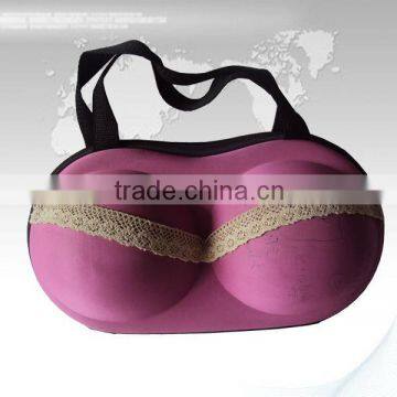 Eva hard travel bra case