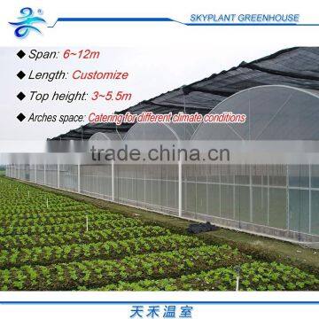 Hot Sale Plastic Film Greenhouse, Vegetables Greenhouse photo-2