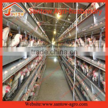 automatic large-scale design laying cage for good sale