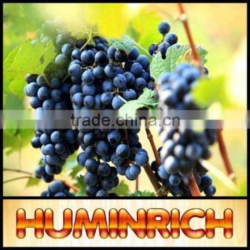 Huminrich Shenyang 100% Water Soluble Humate 65%HA Liquid Biofertilizer