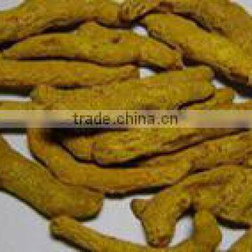 UK Quality Turmeric Finger