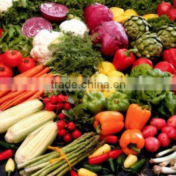 Fresh Pakistani Vegetables
