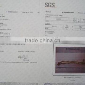 SGS Test Report