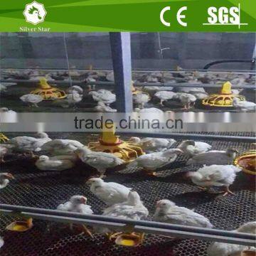 uae chicken farm poultry equipment for sale