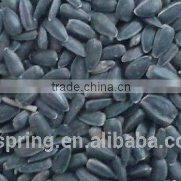 BLACK SUNFLOWER SEEDS photo-6