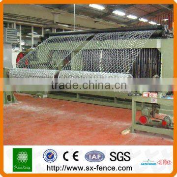 Hexagonal Wire Netting prices