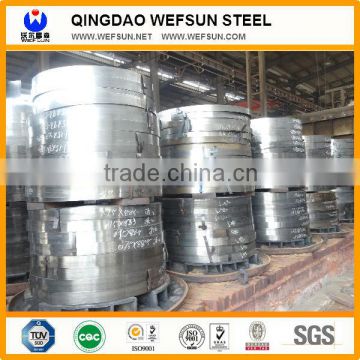 Wefsun Hot Dipped Gavalnized Steel Strips